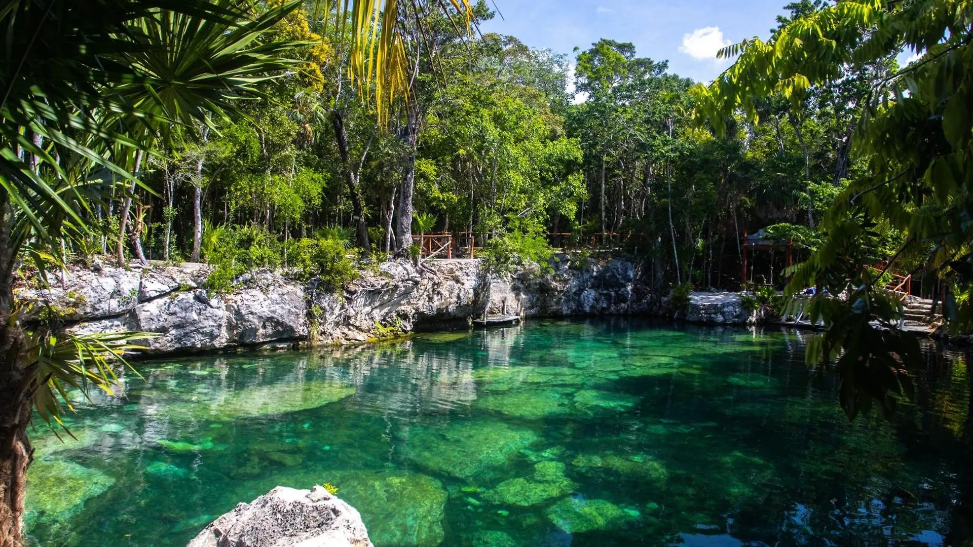*****  Hotel Casa Tortuga Tulum - Cenotes Park Inclusive المكسيك